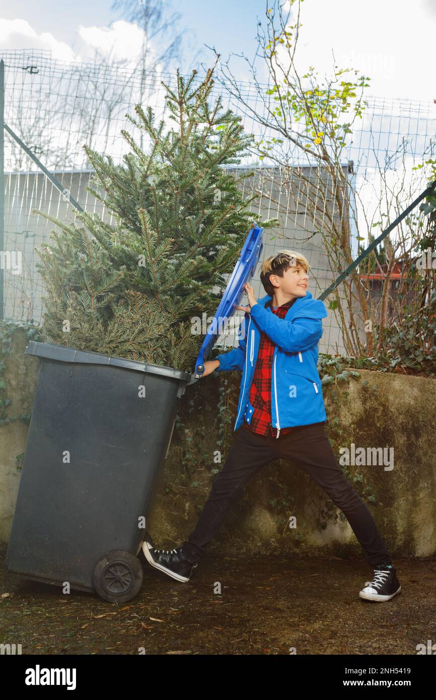 Ragazzo gettare l'albero di Natale nel contenitore spazzatura rullo cestino Foto Stock