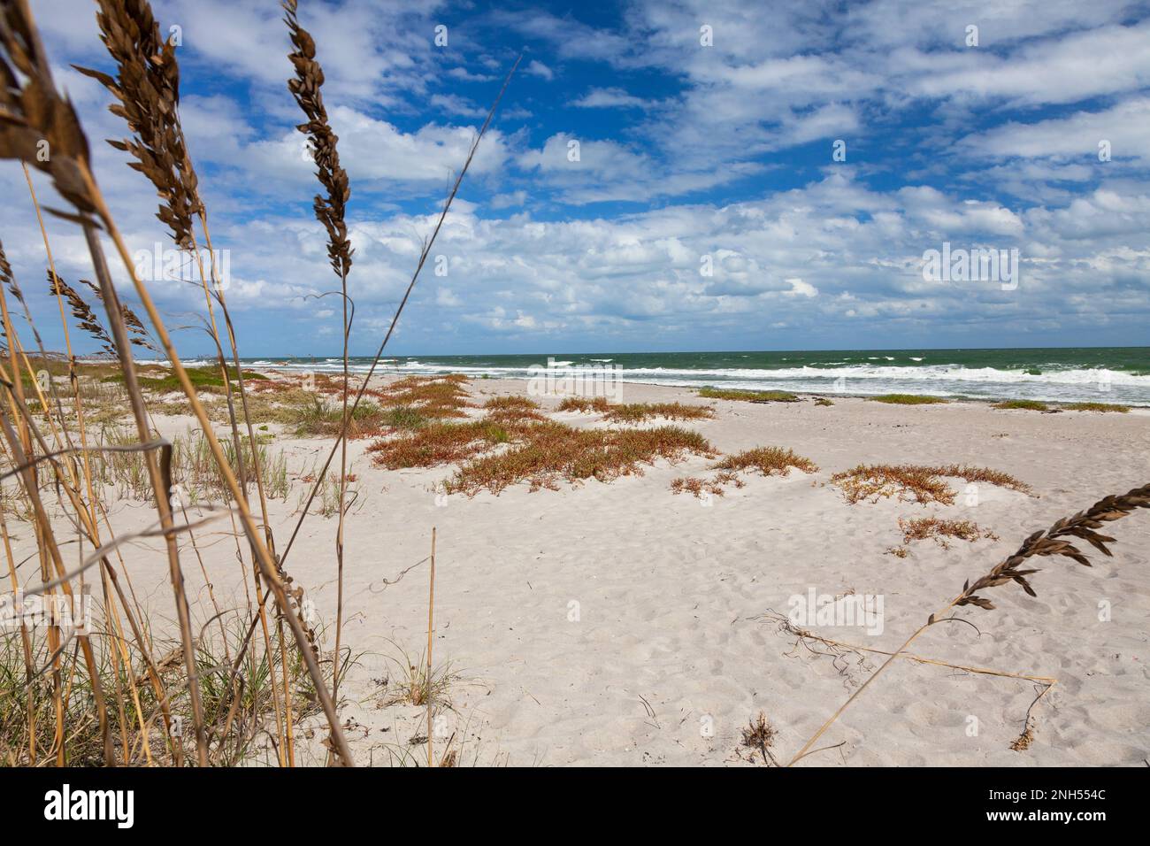 Tranquilla spiaggia vuota con lunghe dune di sabbia e erba durante il giorno Foto Stock