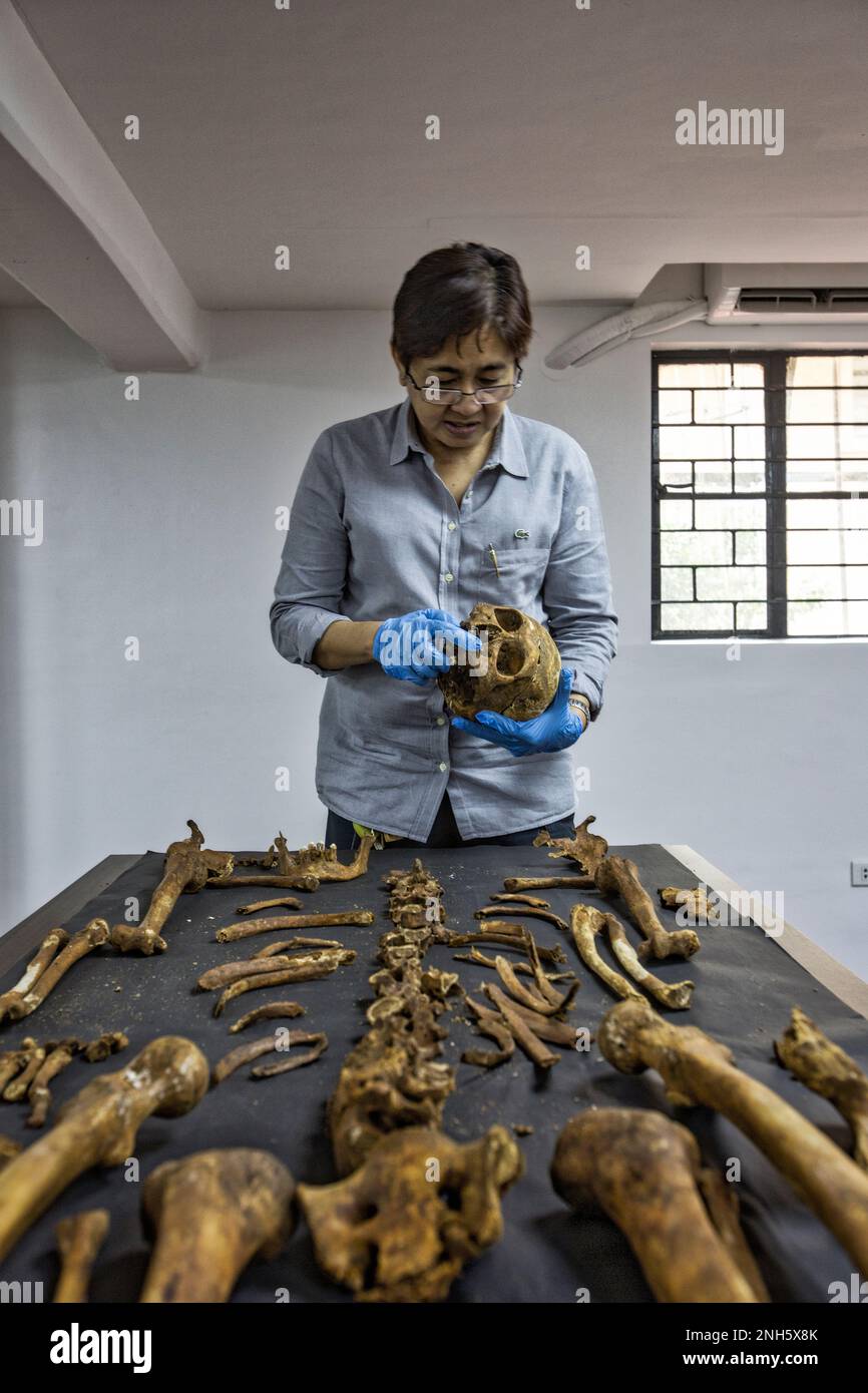 Patologo forense Dr. Raquel Fortun, Manila, Filippine, guerra alla droga Foto Stock
