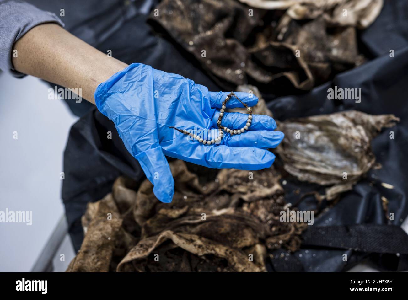 Patologo forense Dr. Raquel Fortun, Manila, Filippine, guerra alla droga Foto Stock