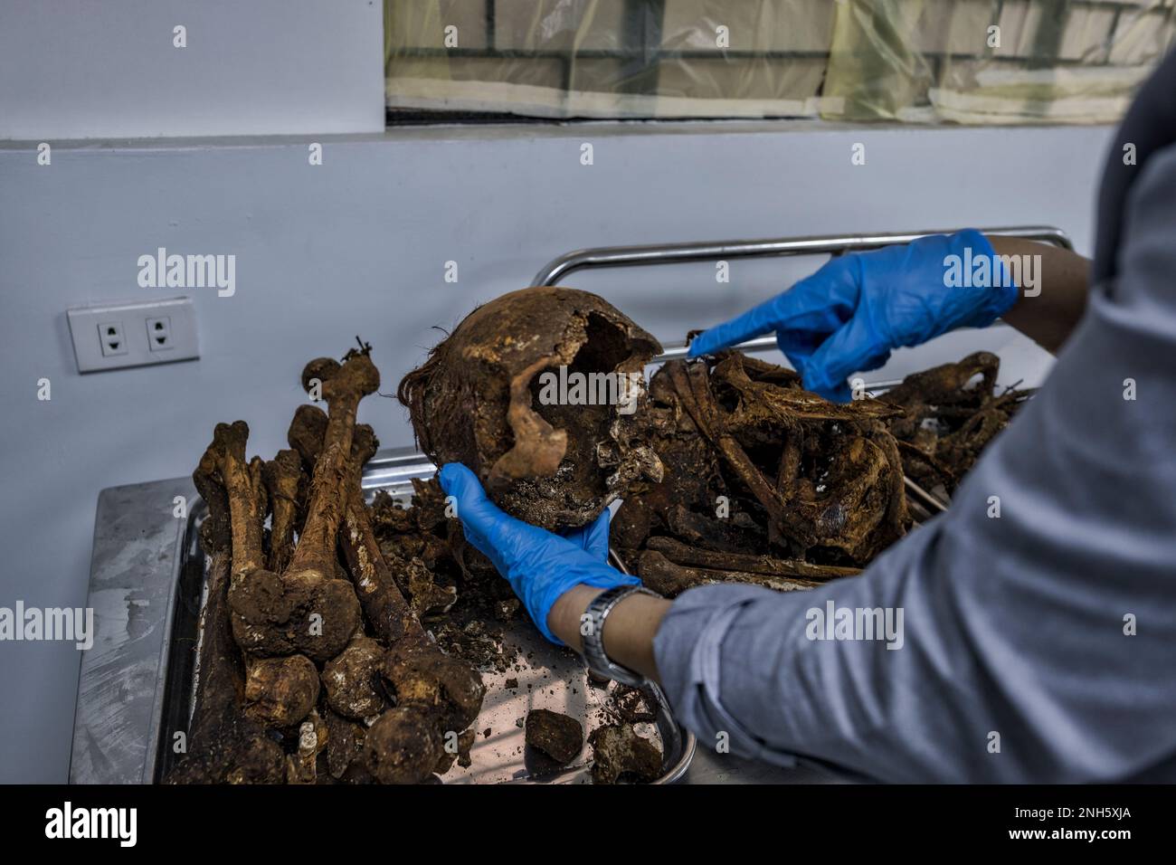 Patologo forense Dr. Raquel Fortun, Manila, Filippine, guerra alla droga Foto Stock