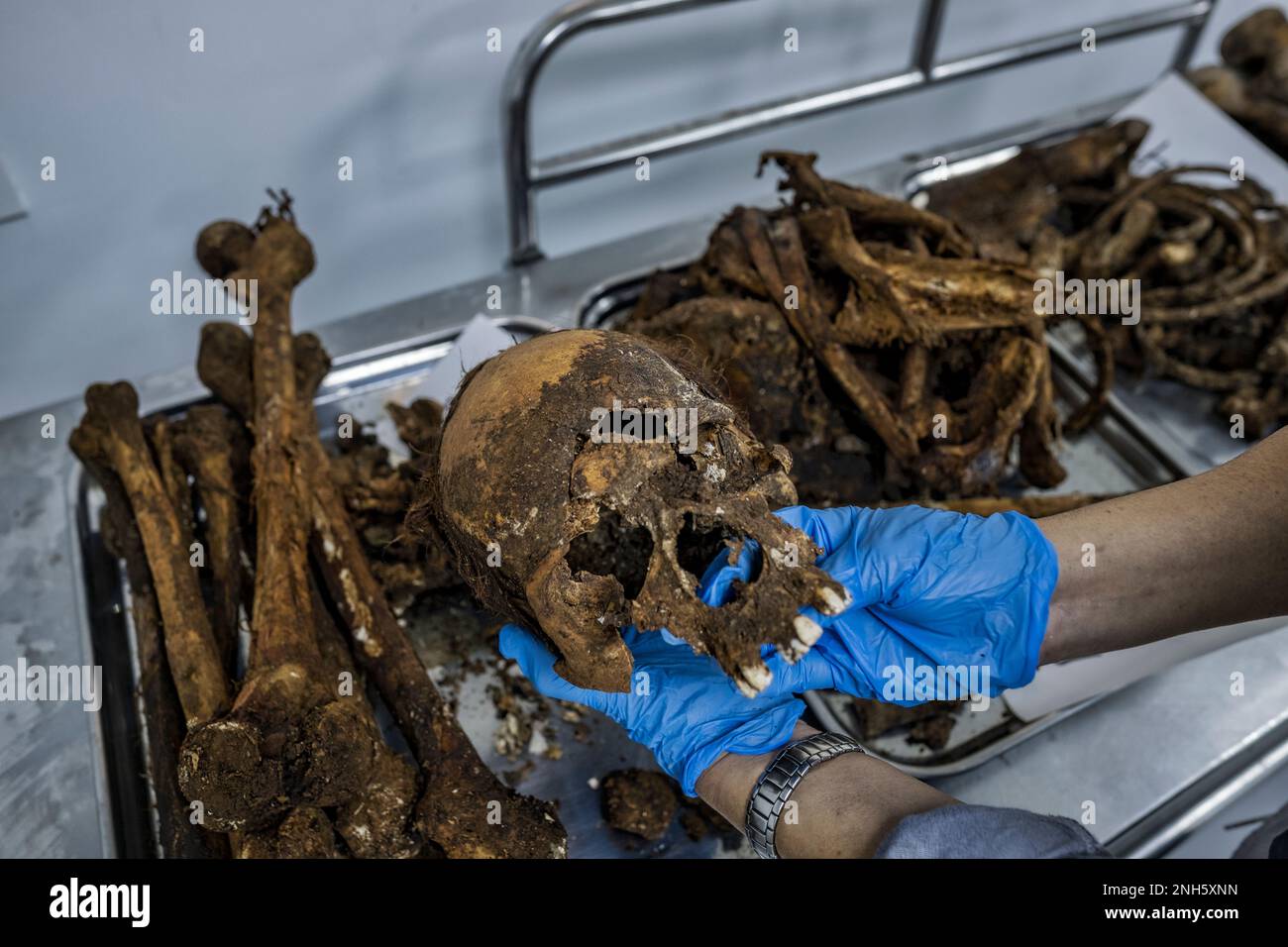 Patologo forense Dr. Raquel Fortun, Manila, Filippine, guerra alla droga Foto Stock