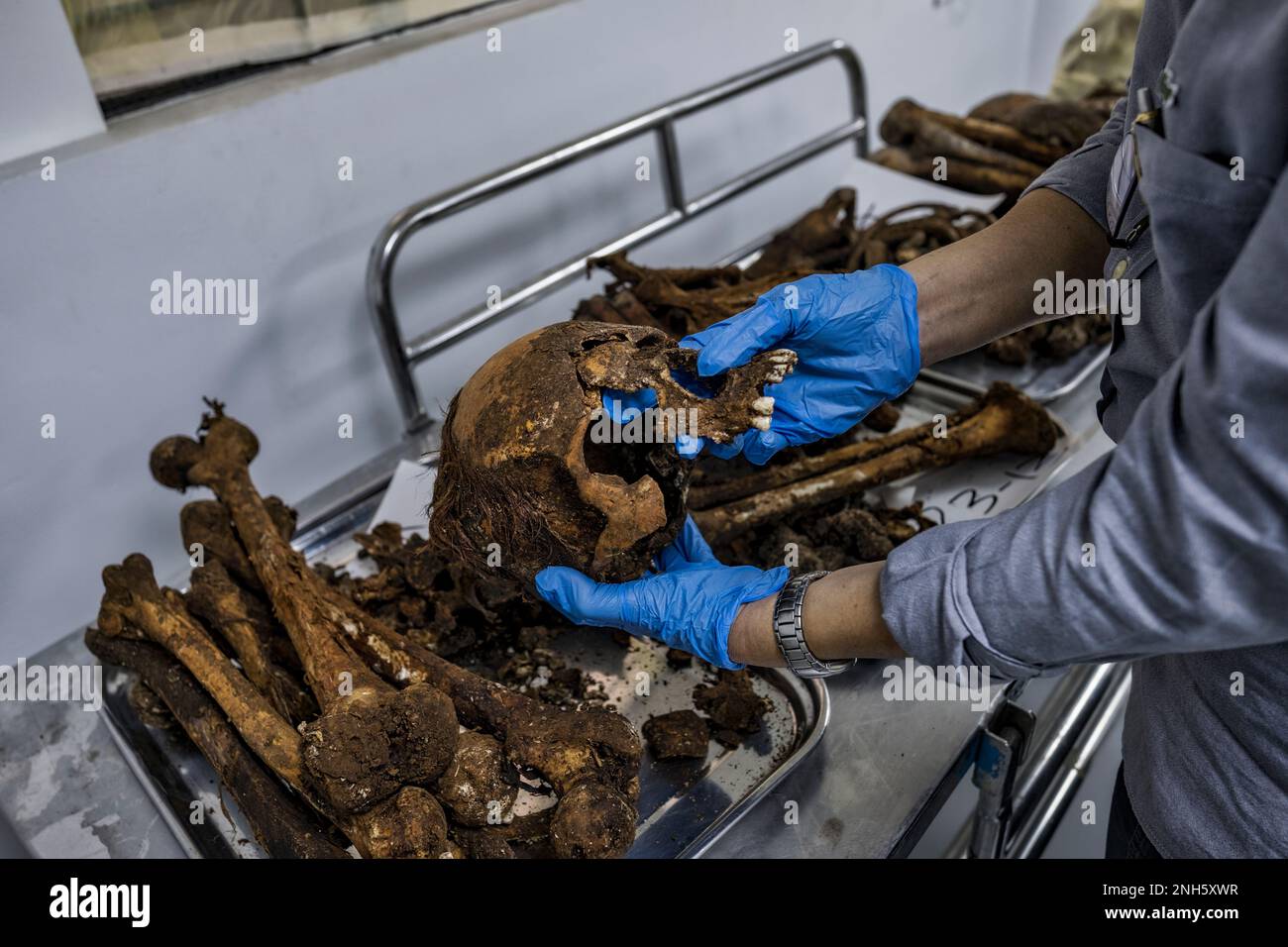 Patologo forense Dr. Raquel Fortun, Manila, Filippine, guerra alla droga Foto Stock