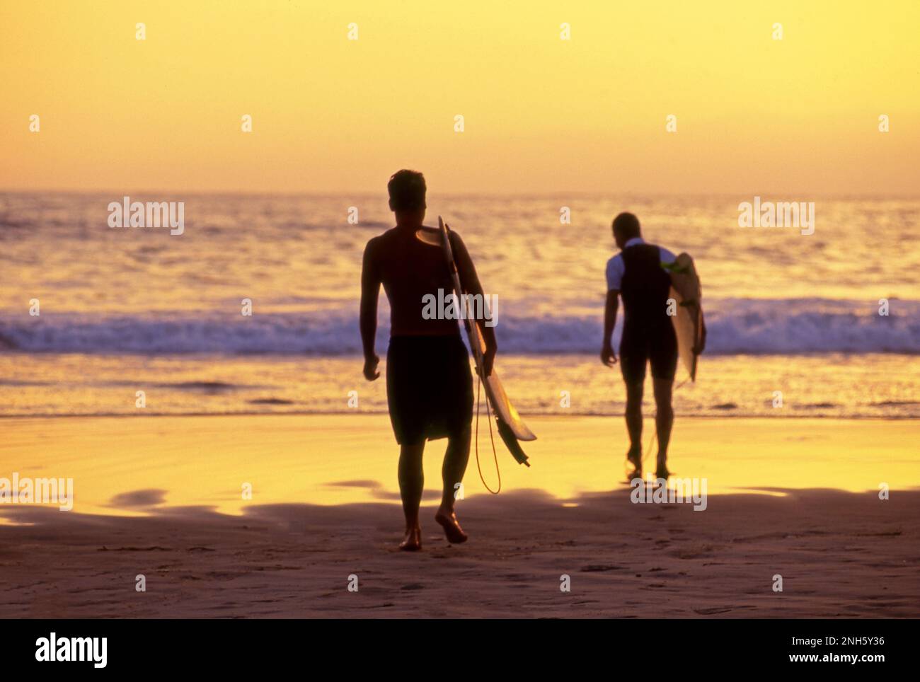 I surfisti entrano nell'acqua sulla costa della California meridionale al tramonto. Foto Stock