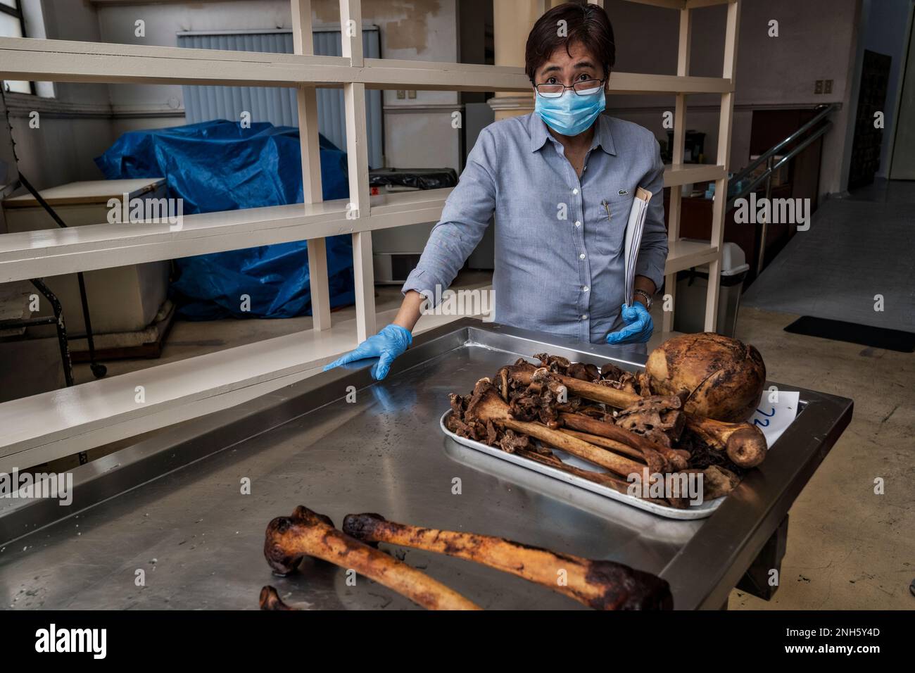 Patologo forense Dr. Raquel Fortun, Manila, Filippine, guerra alla droga Foto Stock