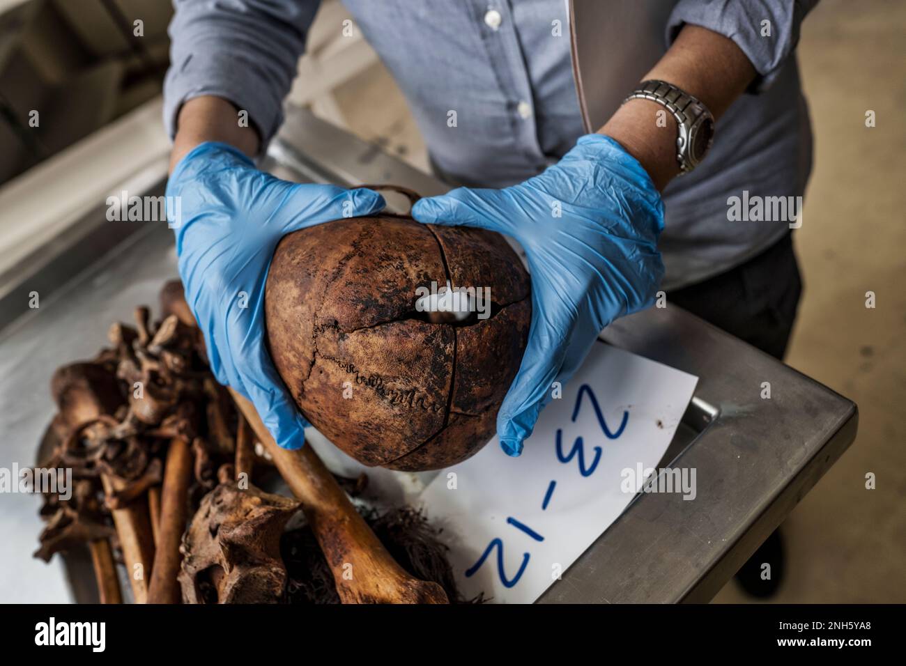 Patologo forense Dr. Raquel Fortun, Manila, Filippine, guerra alla droga Foto Stock