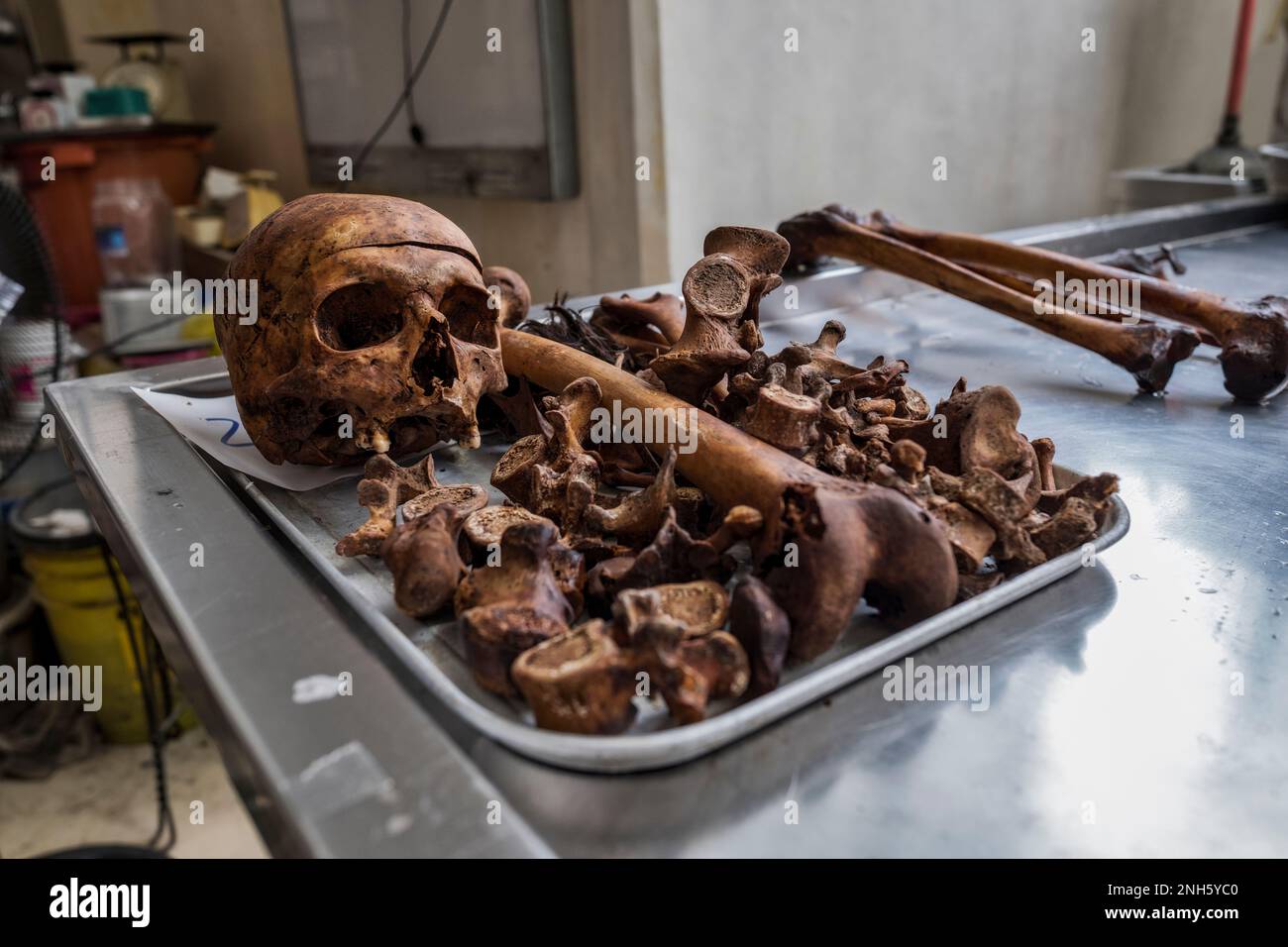 Patologo forense Dr. Raquel Fortun, Manila, Filippine, guerra alla droga Foto Stock