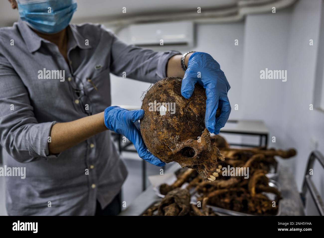Patologo forense Dr. Raquel Fortun, Manila, Filippine, guerra alla droga Foto Stock