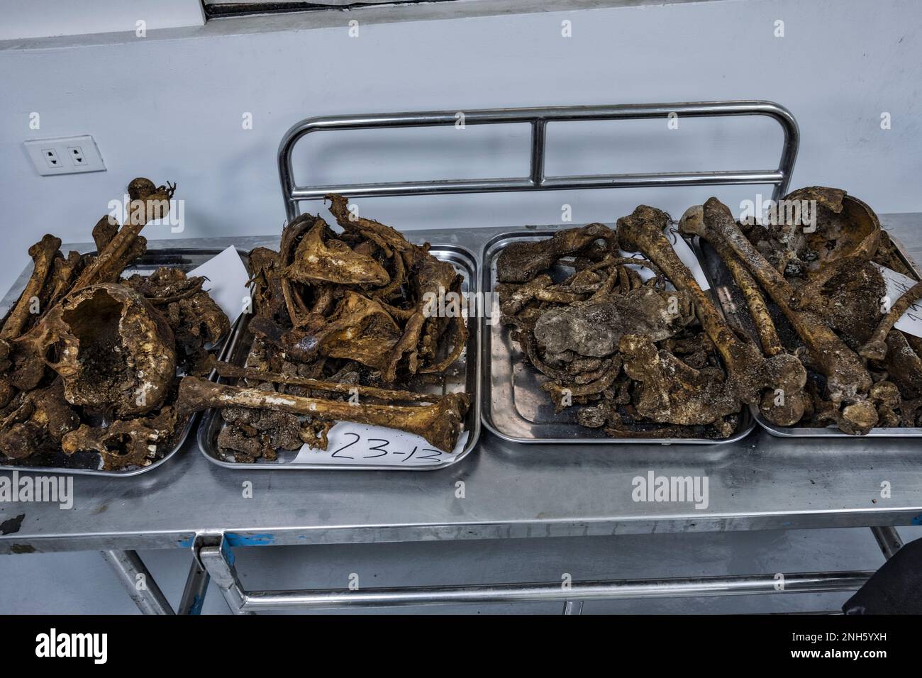 Patologo forense Dr. Raquel Fortun, Manila, Filippine, guerra alla droga Foto Stock