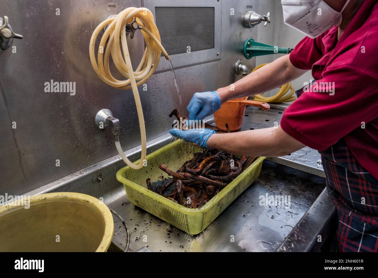 Patologo forense Dr. Raquel Fortun, Manila, Filippine, guerra alla droga Foto Stock