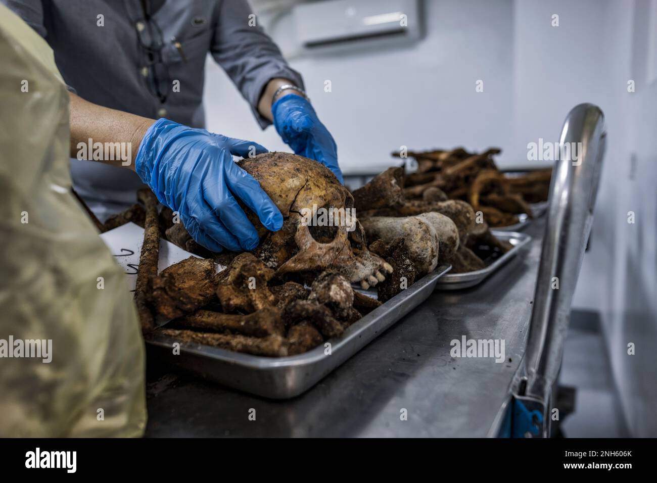 Patologo forense Dr. Raquel Fortun, Manila, Filippine, guerra alla droga Foto Stock