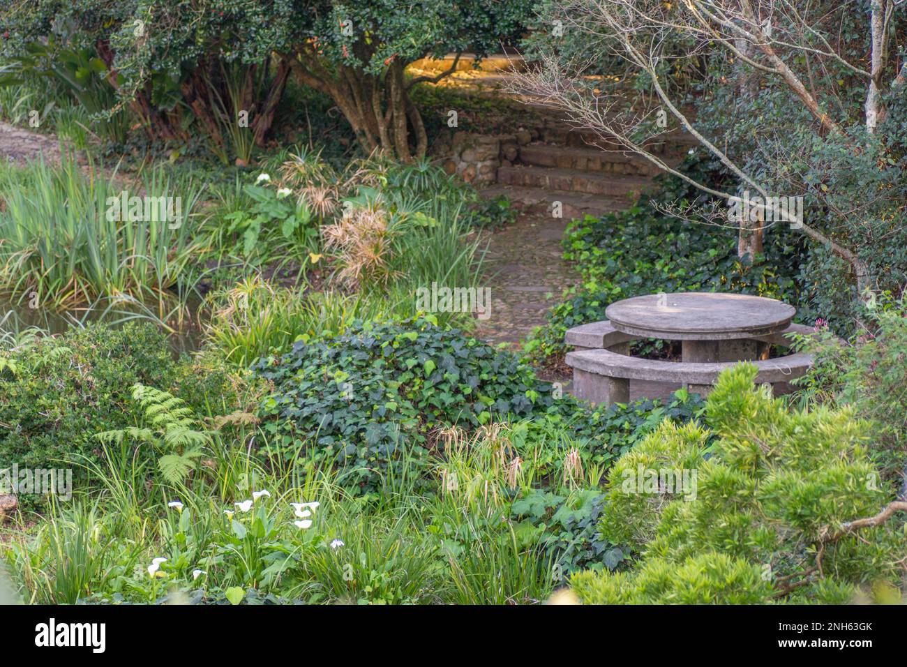 cottage giardino con molte tonalità di verde con tavolo e sedie Foto Stock