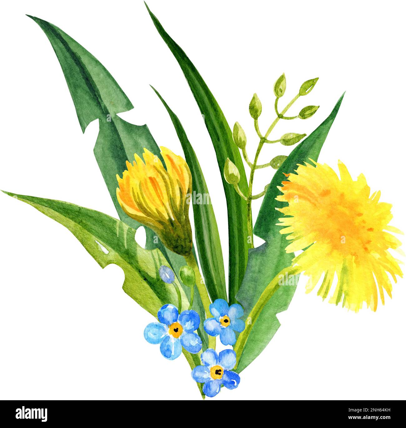 acquerello campo fiori composizione, disegno a mano, fiori estivi, foglie e seme di dente di leone. Fiori gialli e verdi e erba Foto Stock