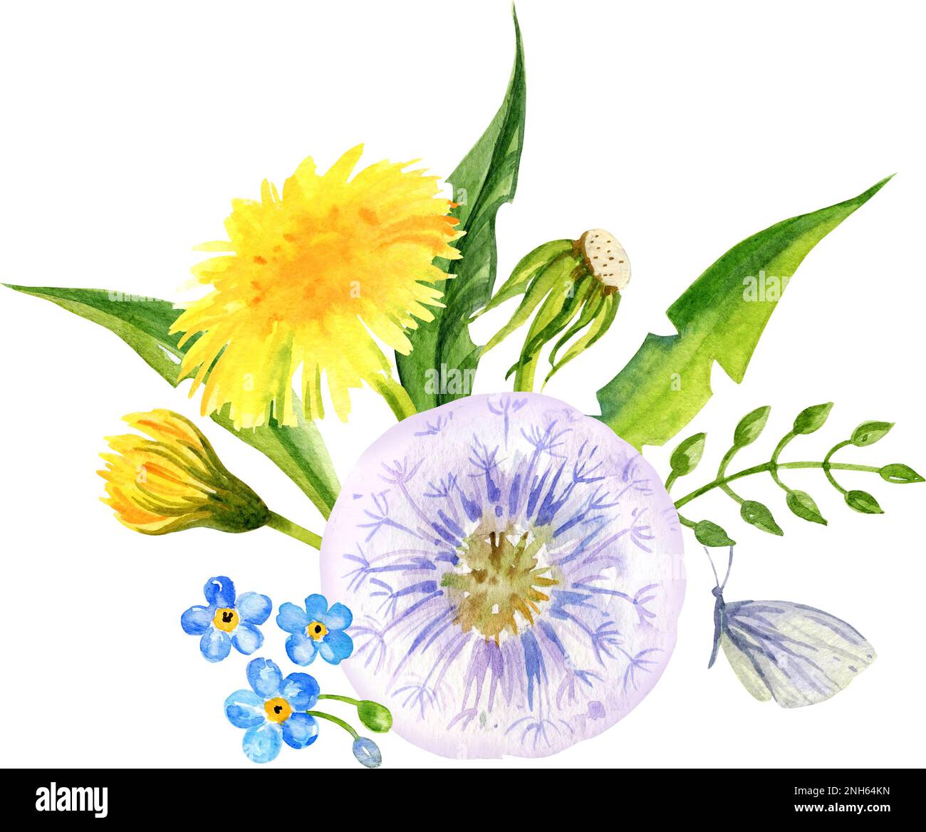 acquerello campo fiori composizione, disegno a mano, fiori estivi, foglie e seme di dente di leone. Fiori gialli e verdi e erba con butterfl Foto Stock