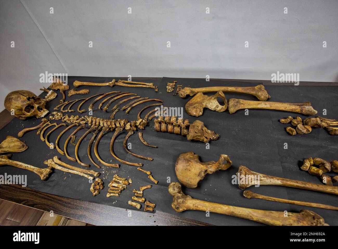Patologo forense Dr. Raquel Fortun, Manila, Filippine, guerra alla droga Foto Stock