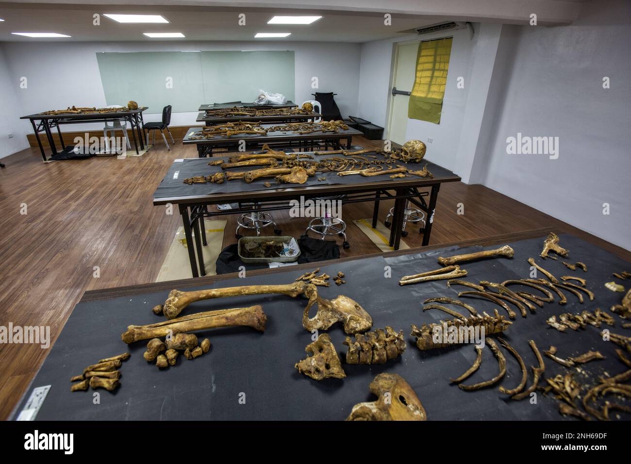 Patologo forense Dr. Raquel Fortun, Manila, Filippine, guerra alla droga Foto Stock