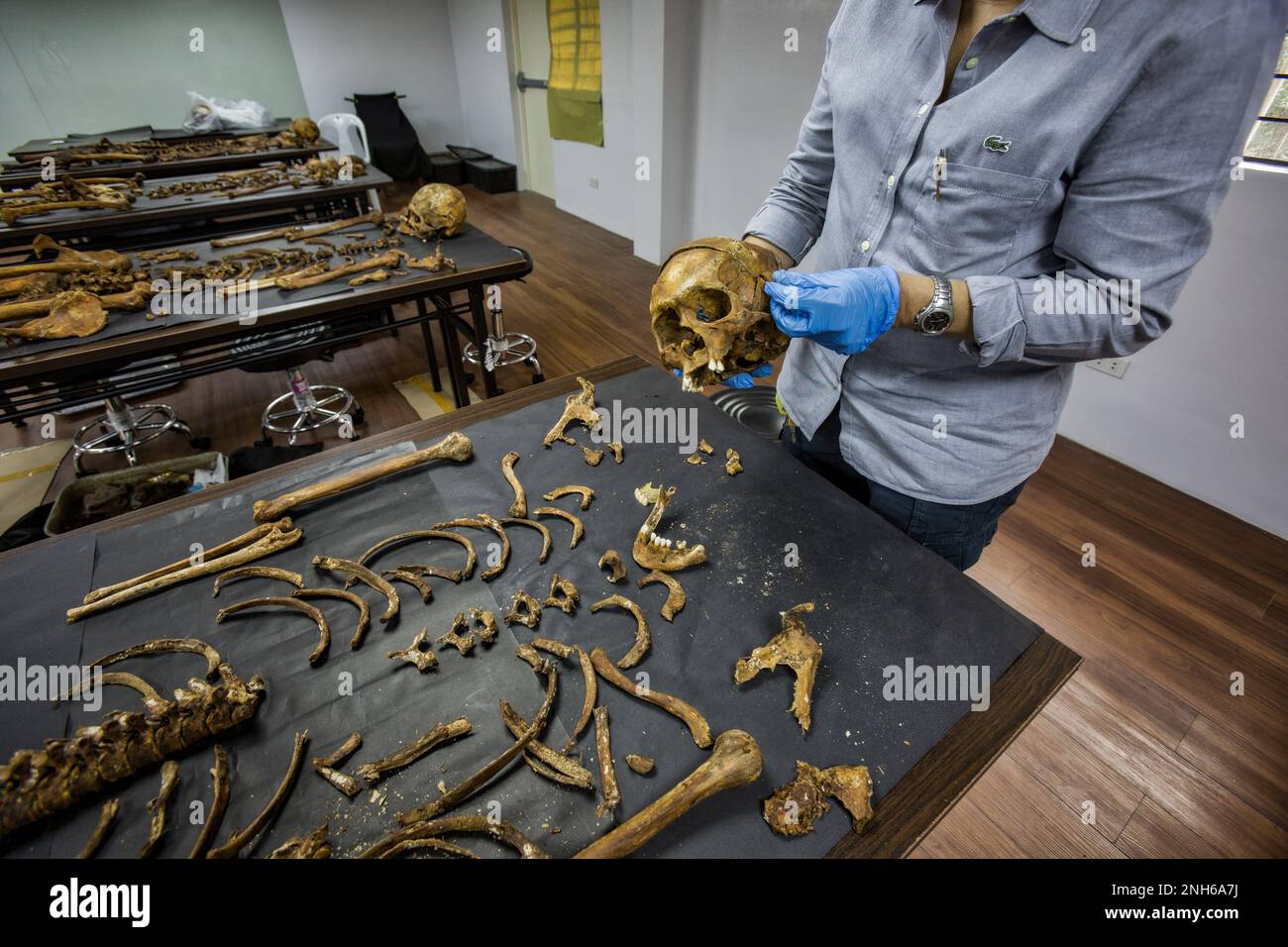 Patologo forense Dr. Raquel Fortun, Manila, Filippine, guerra alla droga Foto Stock