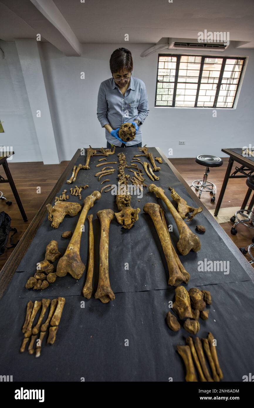 Patologo forense Dr. Raquel Fortun, Manila, Filippine, guerra alla droga Foto Stock
