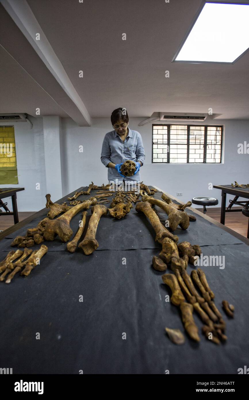 Patologo forense Dr. Raquel Fortun, Manila, Filippine, guerra alla droga Foto Stock