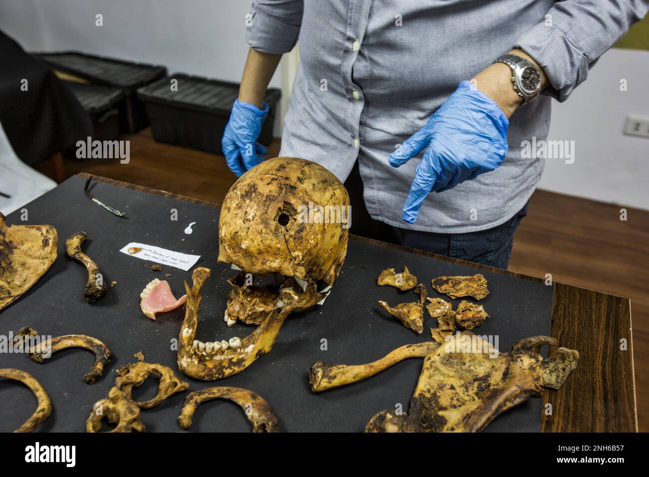 Patologo forense Dr. Raquel Fortun, Manila, Filippine, guerra alla droga Foto Stock