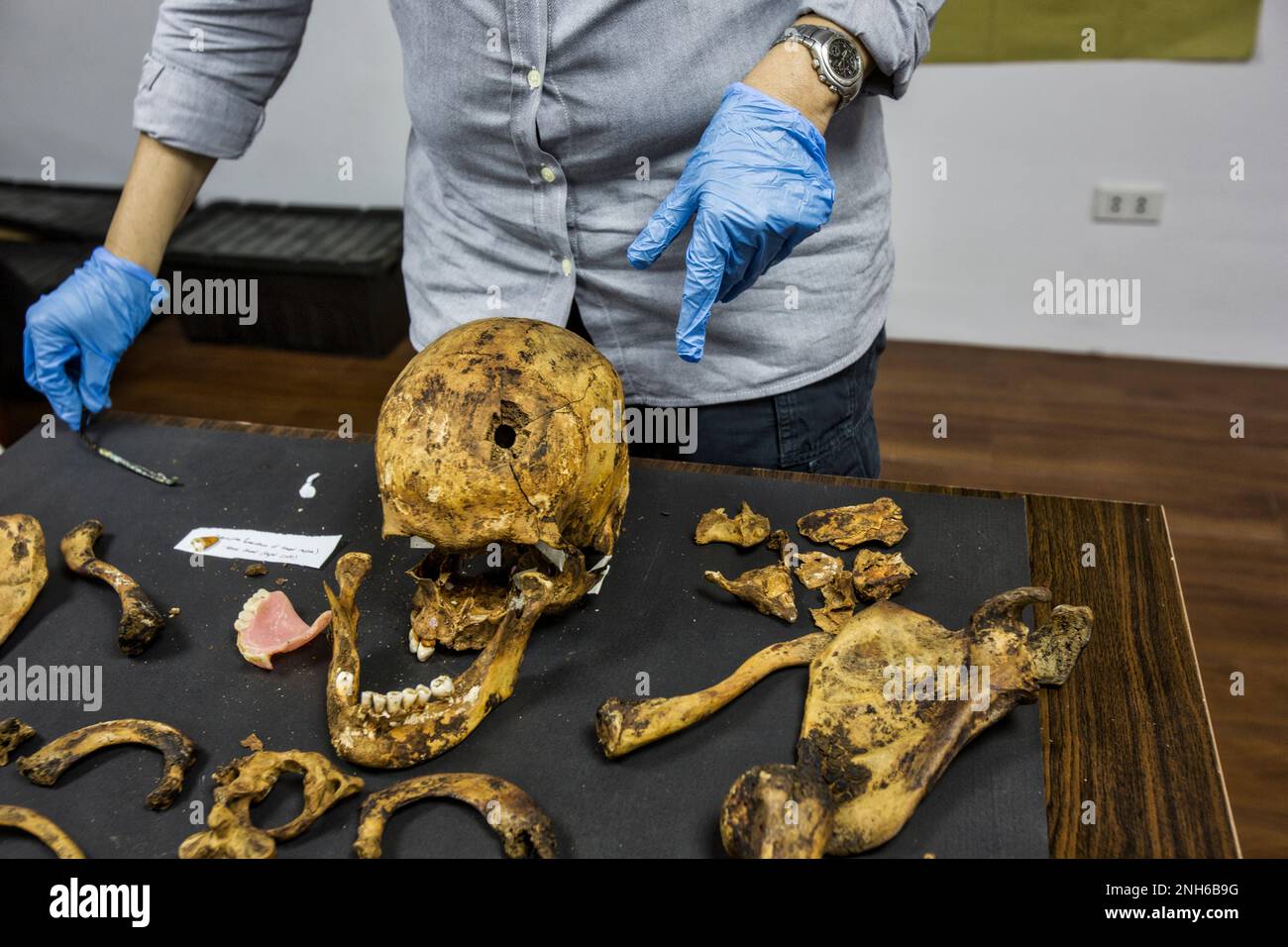 Patologo forense Dr. Raquel Fortun, Manila, Filippine, guerra alla droga Foto Stock
