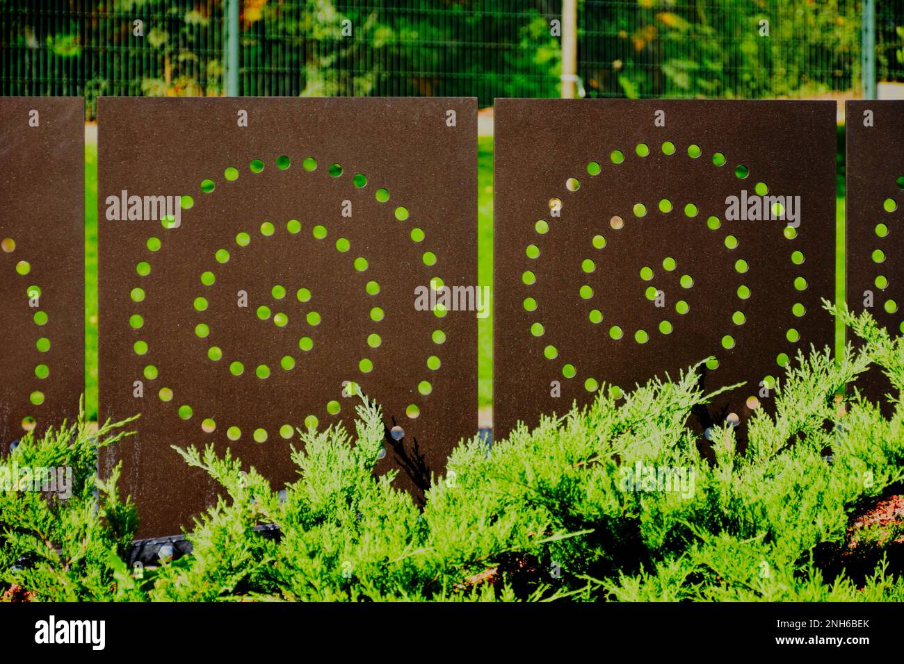 pannello recinzione in acciaio color ruggine con taglio laser decorativo. modello a spirale e lussureggiante arbusto di ginepro verde. fogliame denso. giardino sul marciapiede pubblico Foto Stock