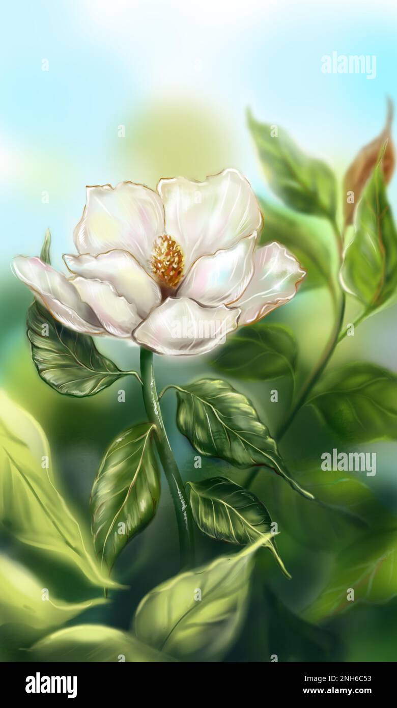 Bello bianco perla avorio magnolia fiore foglia ramo pianta albero cespuglio computer grafica digitale acquerello arte Foto Stock