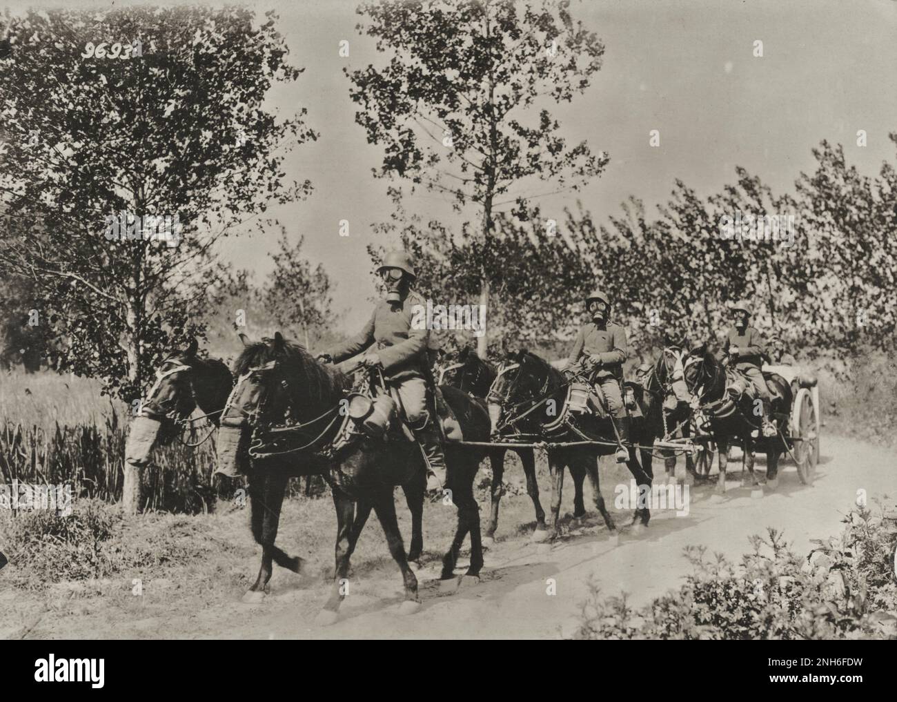 1914-1918. Prima guerra mondiale Trasporto tedesco con carrozza a cavallo in cui soldati e cavalli sono dotati di maschere a gas. Foto Stock