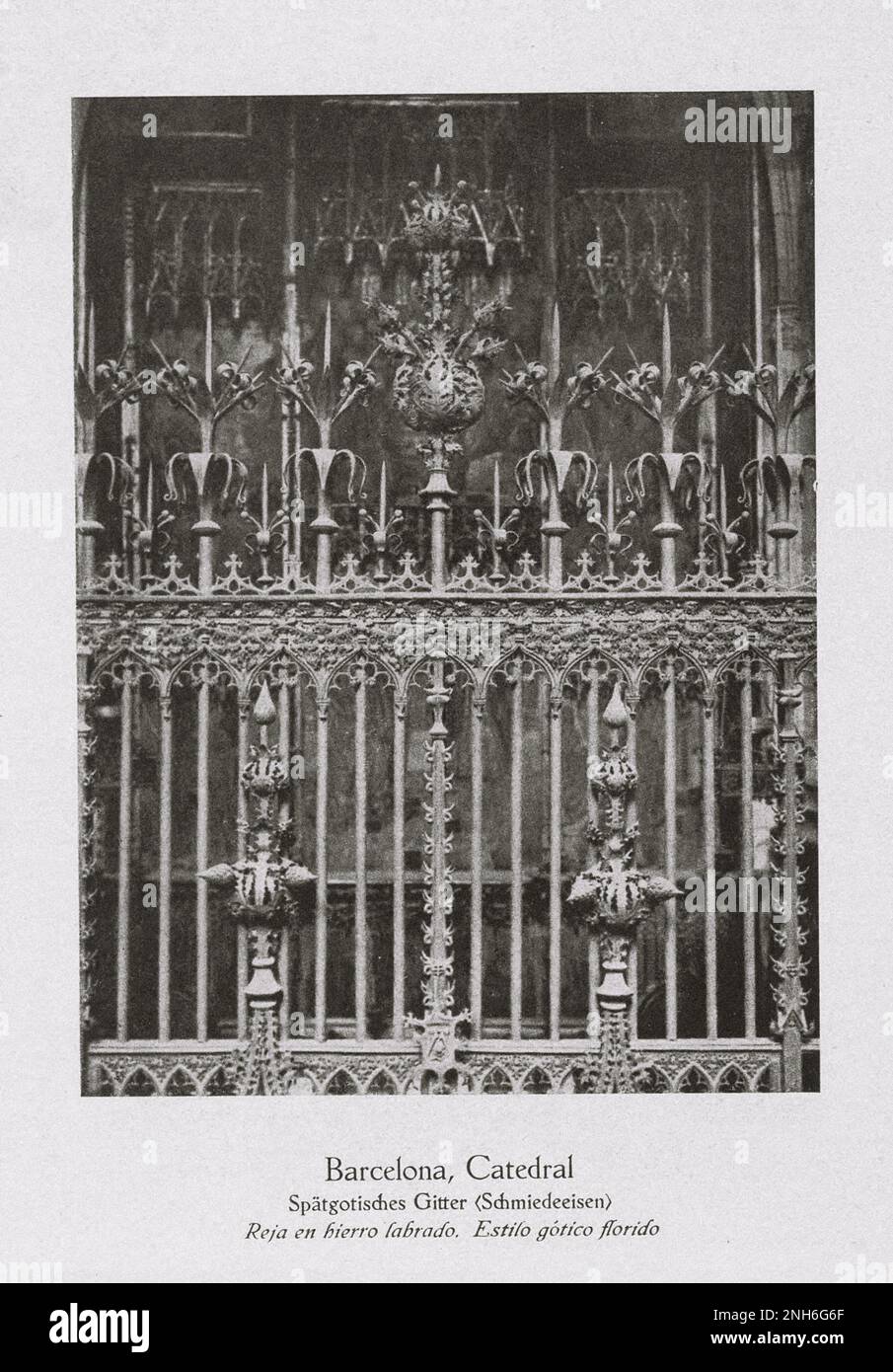 Arte della Spagna Vecchia. Cattedrale di Barcellona in stile tardo gotico griglia chiostro. La Cattedrale di Santa Croce e Santa Eulalia, conosciuta anche come Cattedrale di Barcellona, è la cattedrale gotica e sede dell'arcivescovo di Barcellona, Catalogna, Spagna. La cattedrale fu costruita tra il XIII e il XV secolo, con il lavoro principale svolto nel XIV secolo. Il chiostro, che racchiude il pozzo delle oche (Font de les Oques), fu completato nel 1448. Alla fine del XIX secolo, la facciata neogotica fu costruita sopra l'esterno non descritto che era comune al churc catalano Foto Stock