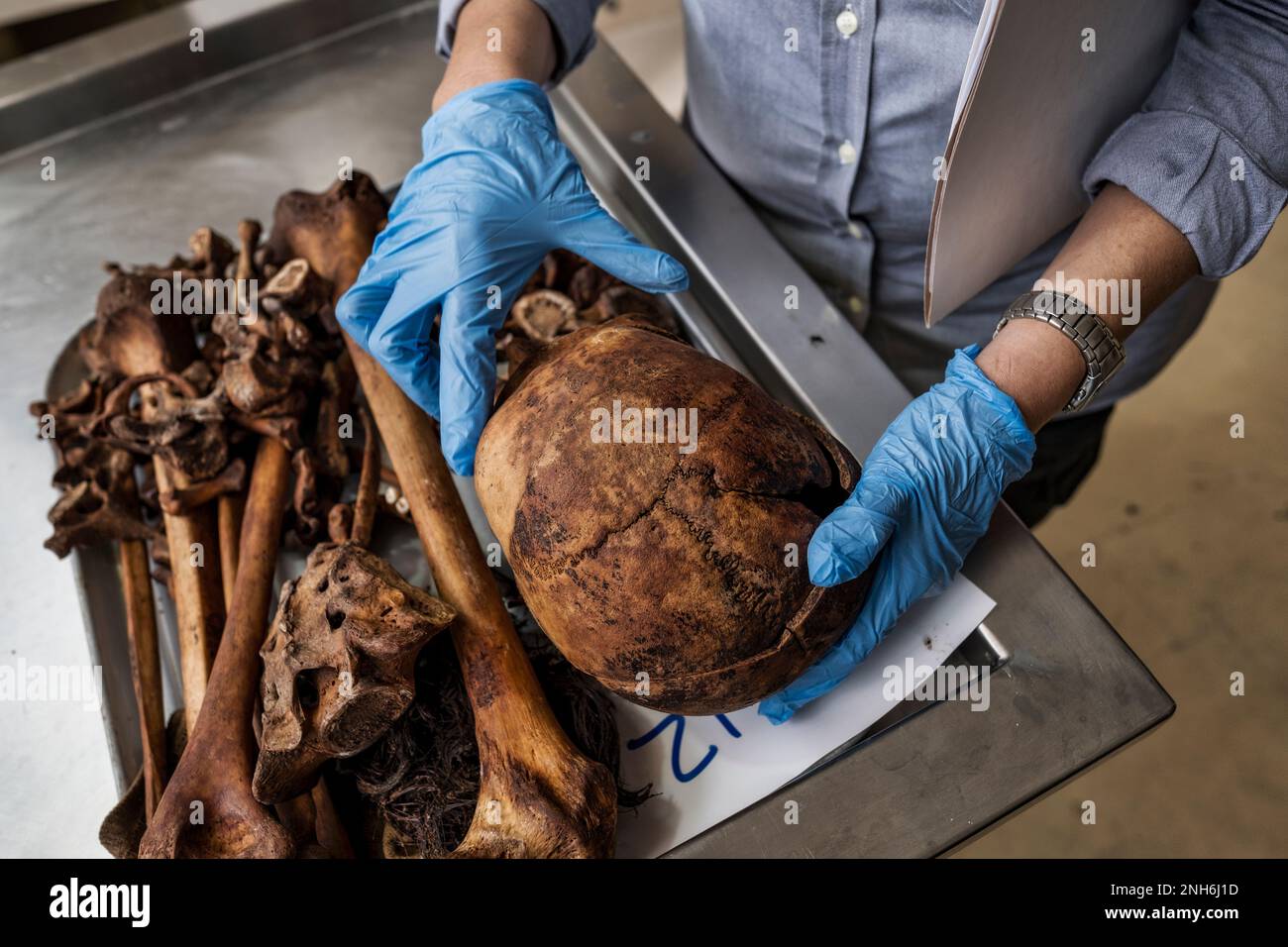 Patologo forense Dr. Raquel Fortun, Manila, Filippine, guerra alla droga Foto Stock