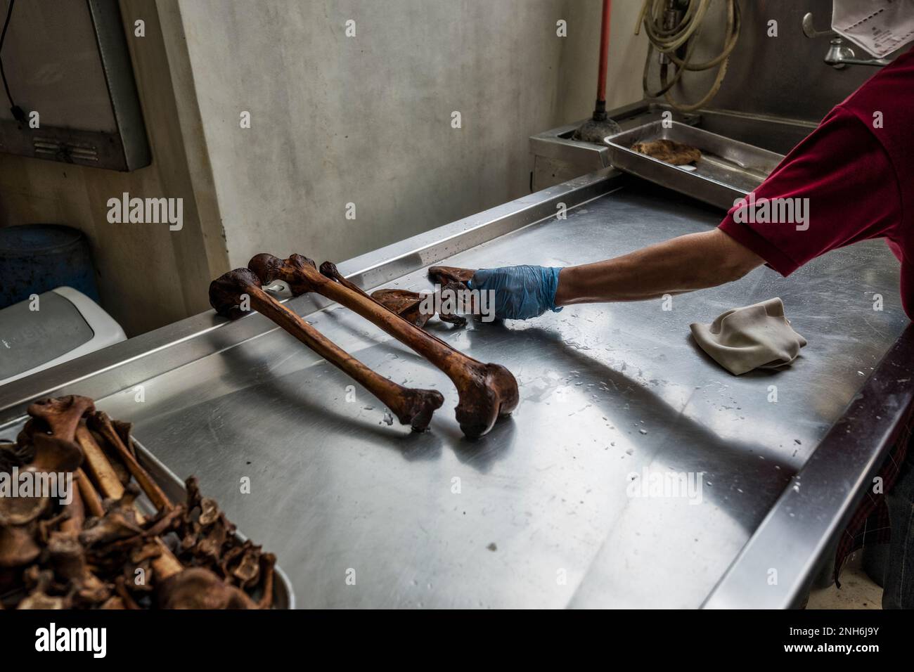 Patologo forense Dr. Raquel Fortun, Manila, Filippine, guerra alla droga Foto Stock