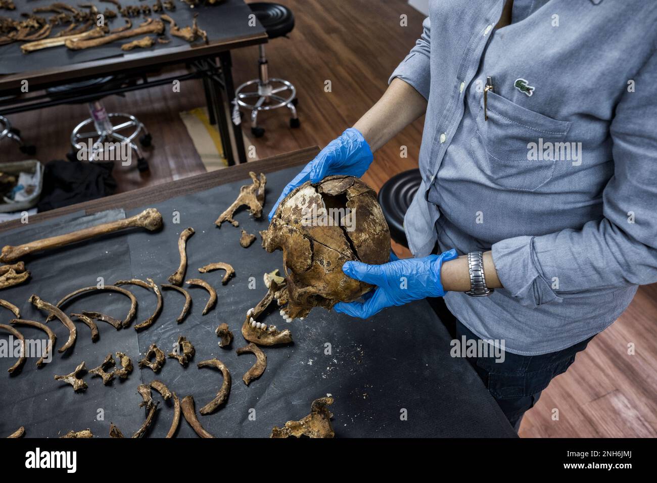 Patologo forense Dr. Raquel Fortun, Manila, Filippine, guerra alla droga Foto Stock