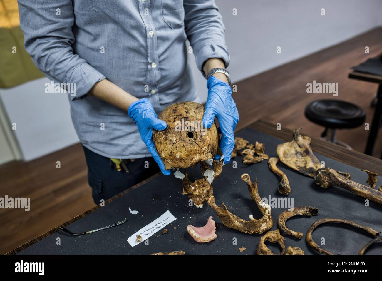 Patologo forense Dr. Raquel Fortun, Manila, Filippine, guerra alla droga Foto Stock