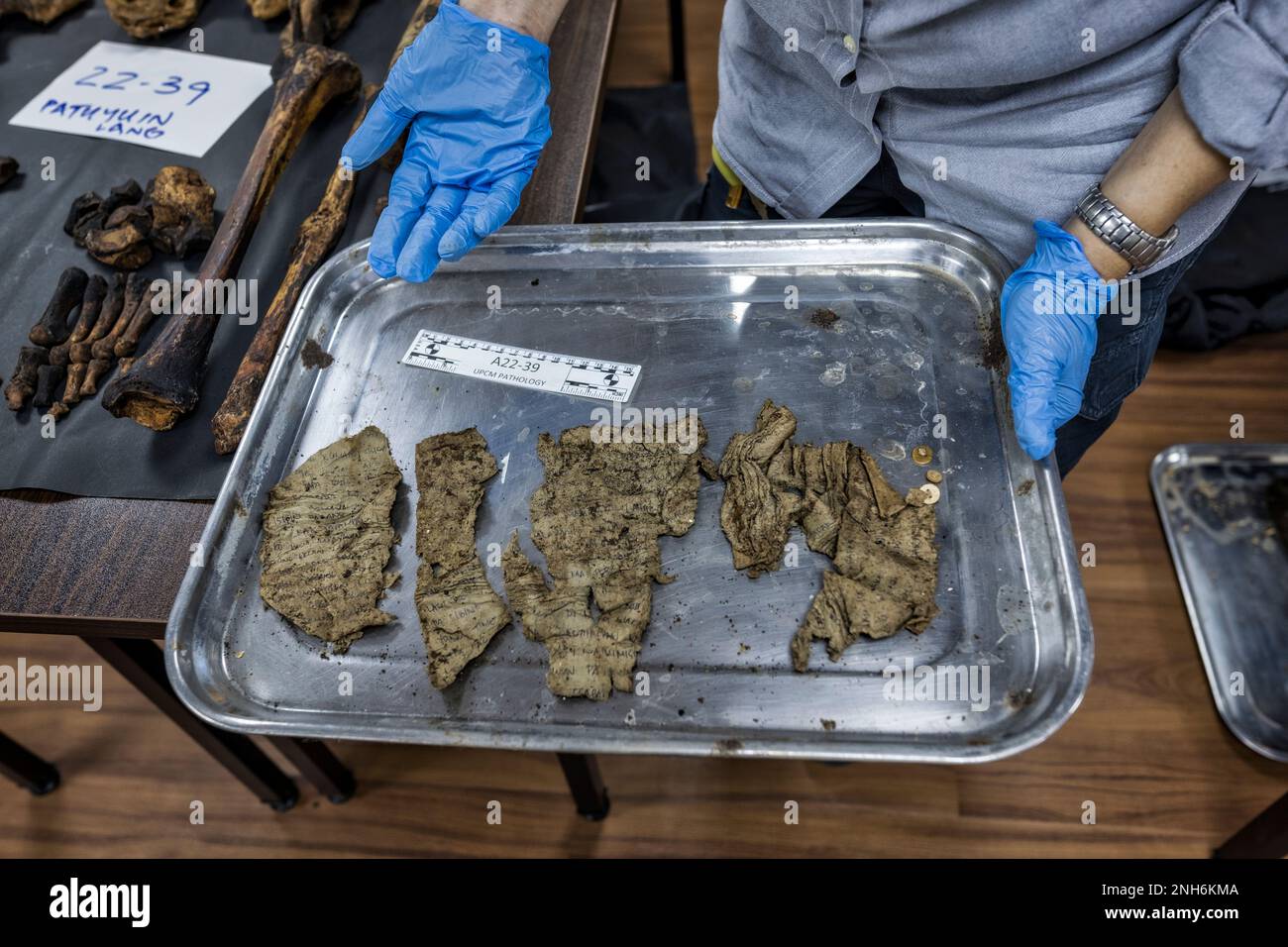 Patologo forense Dr. Raquel Fortun, Manila, Filippine, guerra alla droga Foto Stock