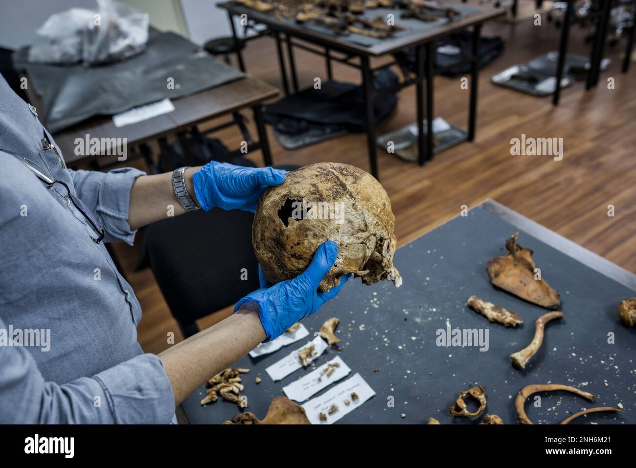 Patologo forense Dr. Raquel Fortun, Manila, Filippine, guerra alla droga Foto Stock