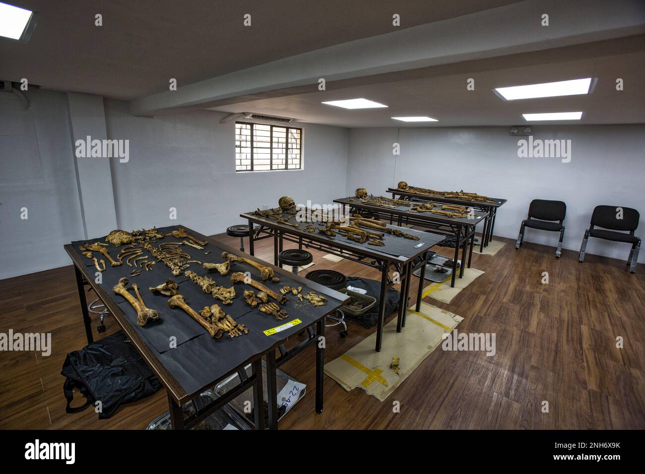 Patologo forense Dr. Raquel Fortun, Manila, Filippine, guerra alla droga Foto Stock
