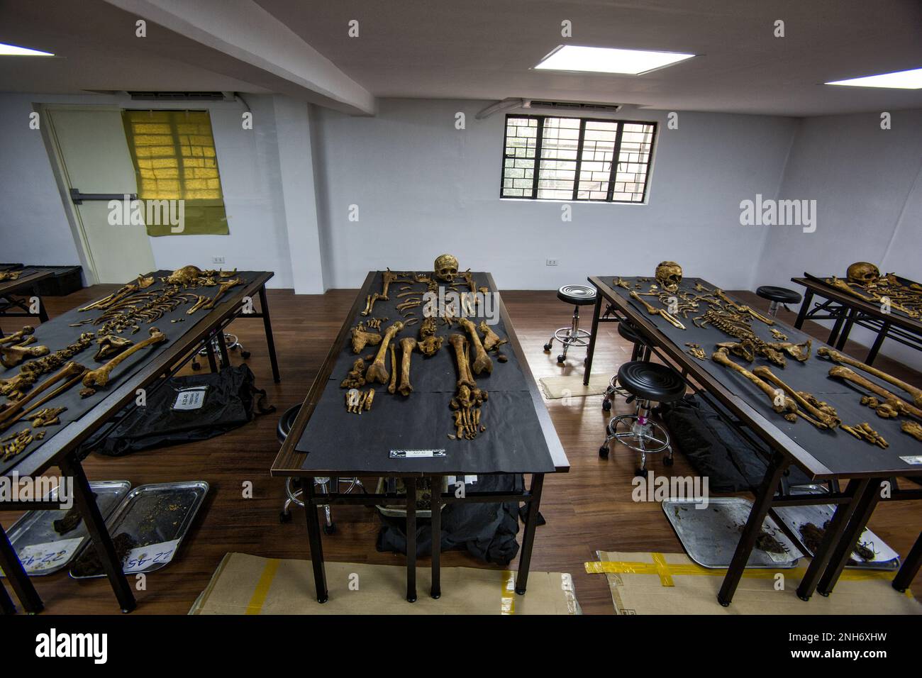 Patologo forense Dr. Raquel Fortun, Manila, Filippine, guerra alla droga Foto Stock