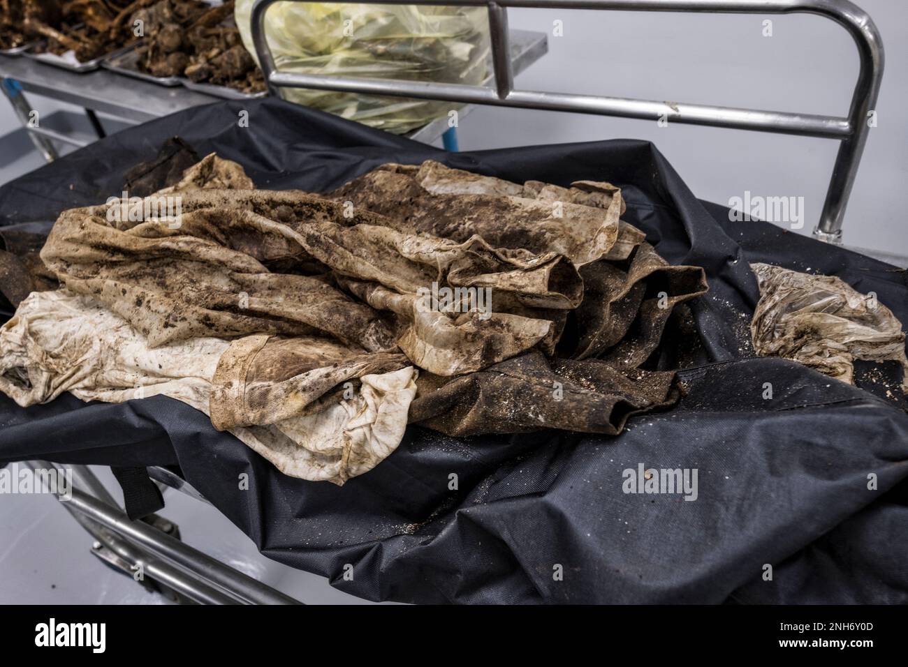 Patologo forense Dr. Raquel Fortun, Manila, Filippine, guerra alla droga Foto Stock