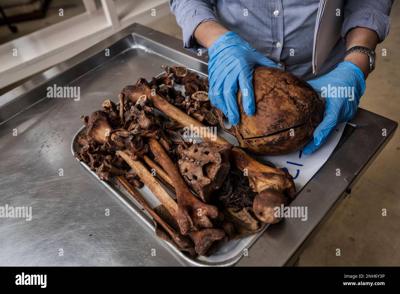 Patologo forense Dr. Raquel Fortun, Manila, Filippine, guerra alla droga Foto Stock