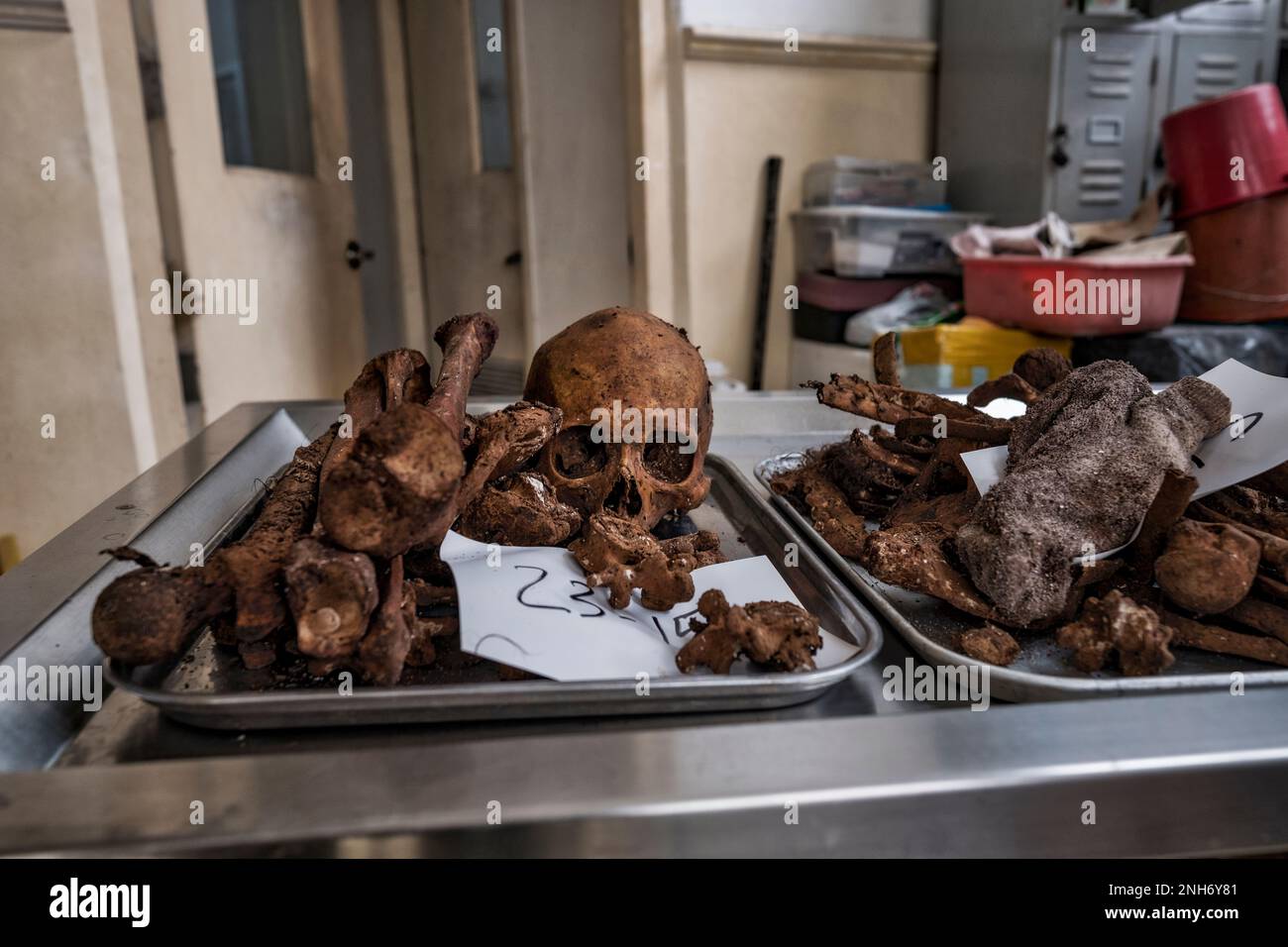 Patologo forense Dr. Raquel Fortun, Manila, Filippine, guerra alla droga Foto Stock