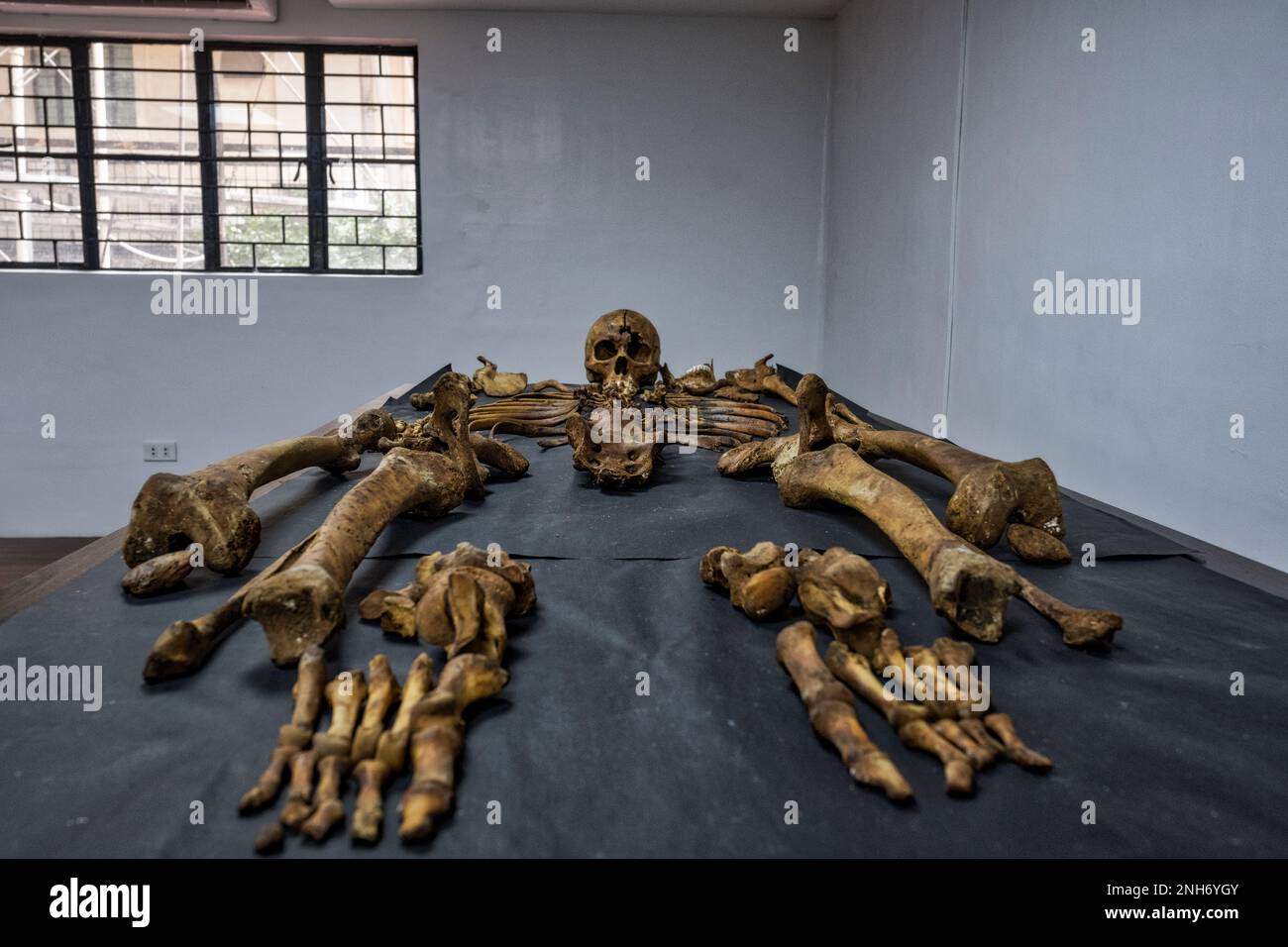 Patologo forense Dr. Raquel Fortun, Manila, Filippine, guerra alla droga Foto Stock