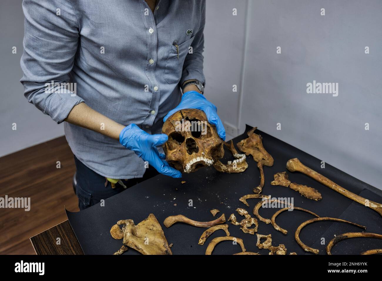 Patologo forense Dr. Raquel Fortun, Manila, Filippine, guerra alla droga Foto Stock