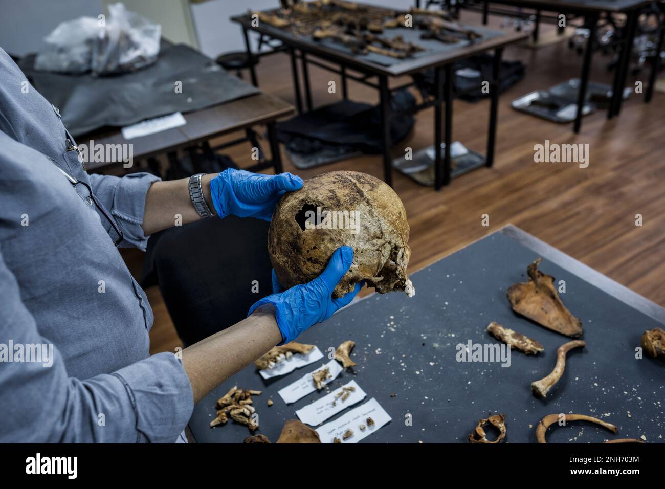 Patologo forense Dr. Raquel Fortun, Manila, Filippine, guerra alla droga Foto Stock