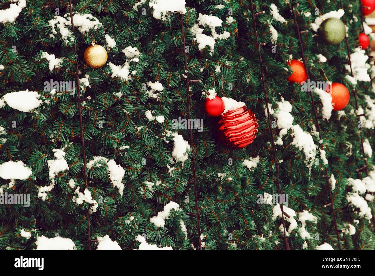 Scenario di Capodanno. Le palle dei giocattoli del capodanno rosso pendono sull'abete rosso decorativo verde con la neve naturale all'aperto Foto Stock