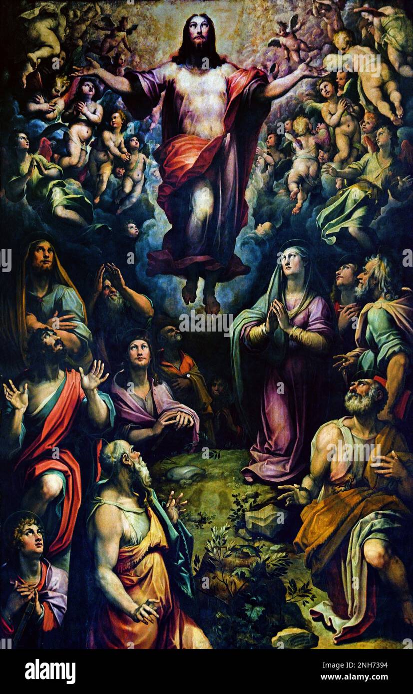 Ascensione di Gesù Cristo, dipinto del 16th° secolo di Giovanni Stradano Basilica di Santa Croce Basilica di Santa Croce a Firenze, Museo delle Belle Arti, Italia, italiano, ( Stradanus, Johannes Stradanus, Jan van der Straet o Giovanni Stradano 1523 – 1605 artista fiammingo attivo principalmente nella Firenze del 16th° secolo ) Foto Stock