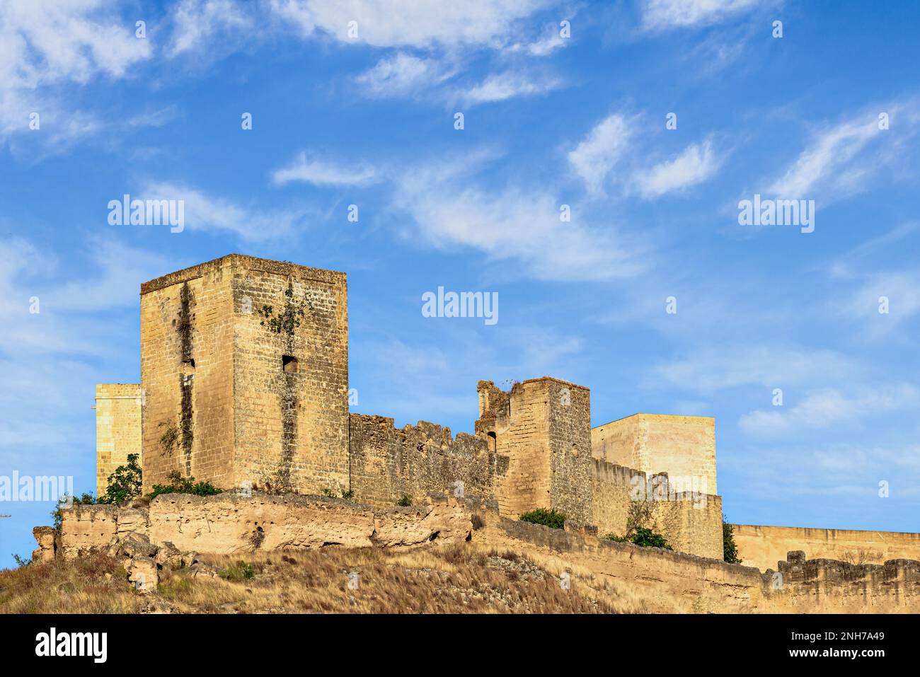 Viste dal Parque de la Retama del castello di Alcalá de Guadaira a Siviglia, nel cielo blu e nelle nuvole bianche Foto Stock