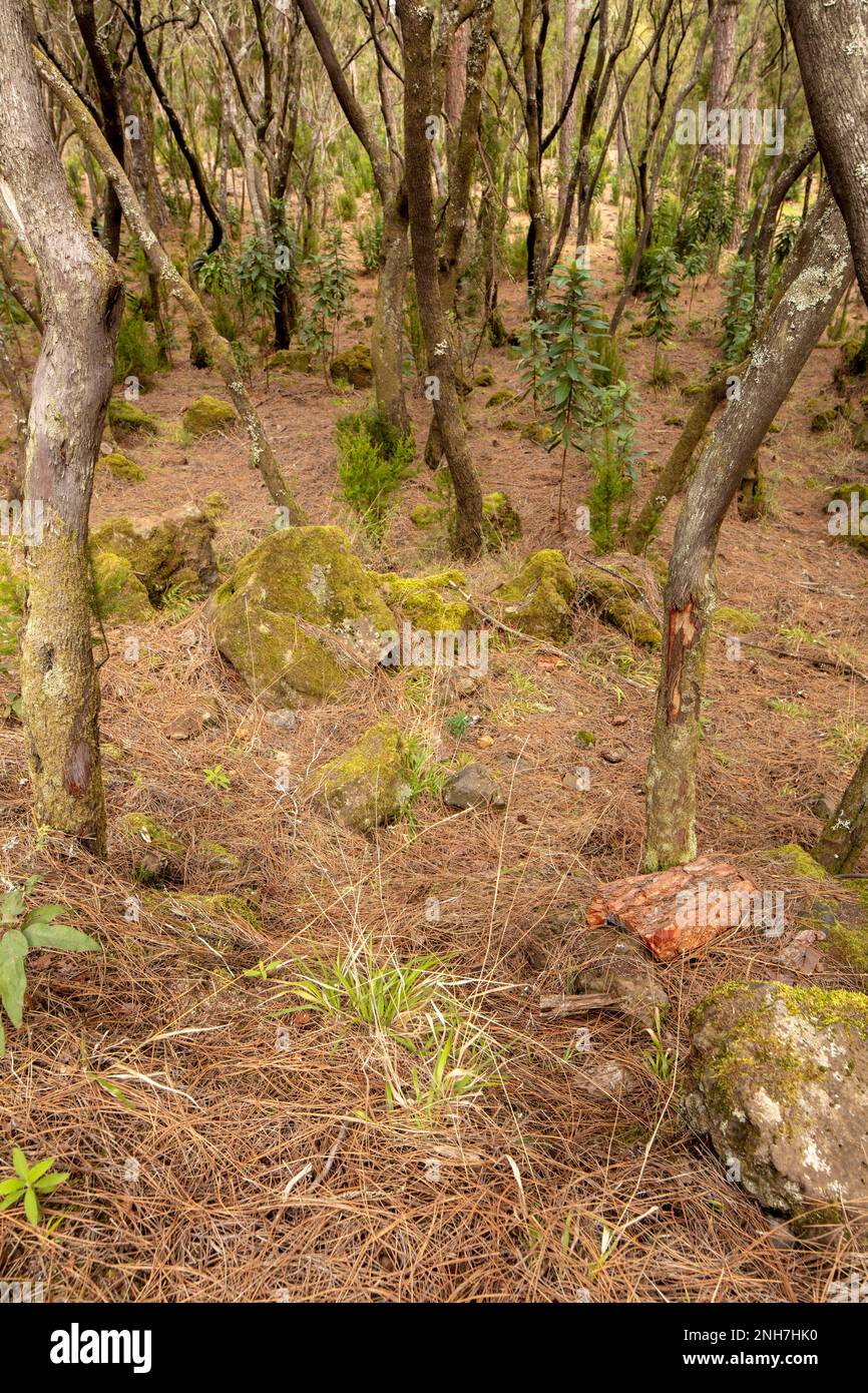 Tosi: «Ho Calibro 45 Sul Comodino, Se Entrano Ladri In Casa Sparo Al Corpo - Foto 5
