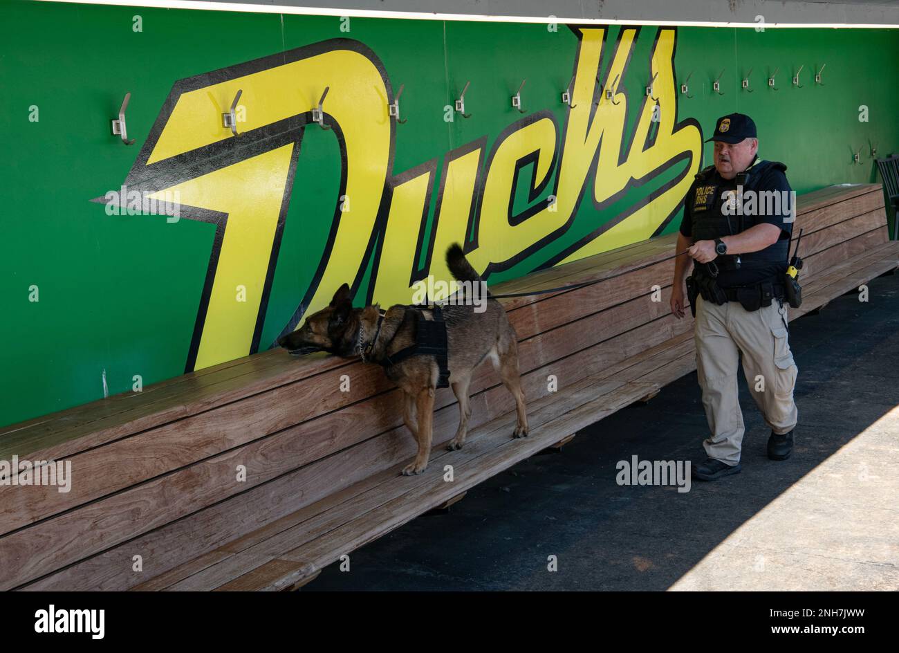 Tim McKenna, un gestore del rivelatore esplosivo K-9 con il Federal Protective Service, lavora con il suo cane Misa, un malinois belga, mentre conducono sessioni di addestramento in corso presso il dugout allo stadio Jane Sanders adiacente all'Hayward Field dell'Università dell'Oregon a Eugene, Ore., 21 luglio 2022. Misa è addestrata per valutare eventuali minacce potenziali al fine di garantire la sicurezza dei partecipanti e degli osservatori al World Track e ai Campionati del mondo che si sono tenuti dal 15 al 24 luglio 2022 ed è stata la prima volta che l'evento si è tenuto negli Stati Uniti. (Guardia nazionale pho Foto Stock