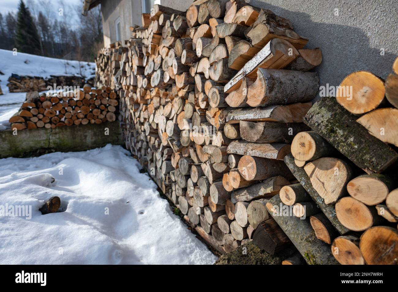 Legna da ardere piegata ad asciugare nel cortile. Un mix di diversi tipi di legno. Foto Stock