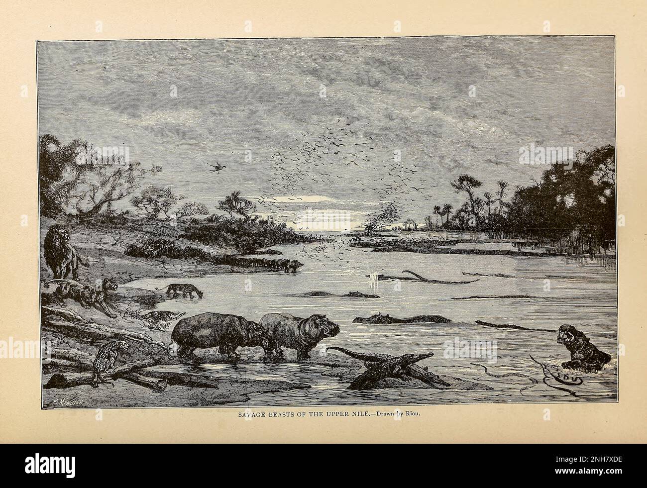 Bestie selvagge dell'Alto Nilo disegnate da Riou dalla storia universale di Cyclopedia : abbracciando la presentazione più completa e recente del soggetto in due parti principali o divisioni di più di seimila pagine da John Clark Ridpath, 1840-1900 Data di pubblicazione 1895 Editore Boston : Balch Bros. Volume 6 Storia dell'uomo e dell'umanità Foto Stock
